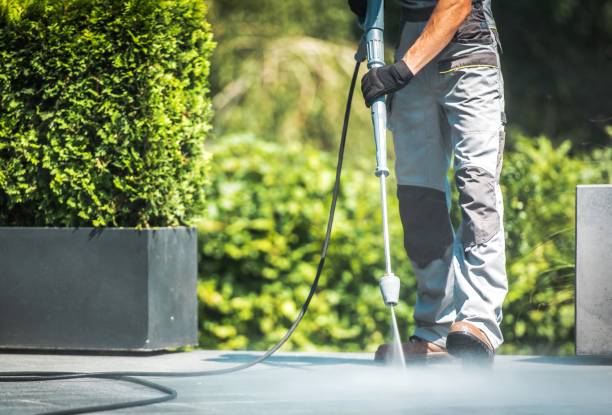 Best Rust Removal  in Linden, AL